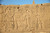 Egypt 03