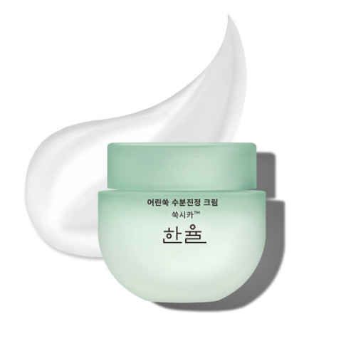 HANYUL Pure Artemisia Calming Water Cream - Shop at Korea