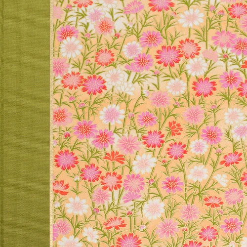 Chrysanthemum
