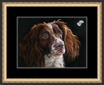 Springer and feather artwork by Kay Johns. Size - medium framed version