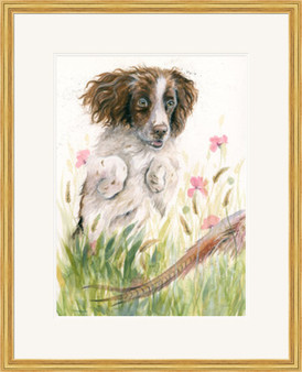 Springer Spaniel by Kay Johns, small gold framed 