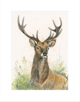 The Observer - size medium mounted-only, SALE ITEM 50% OFF - WAS £219.00