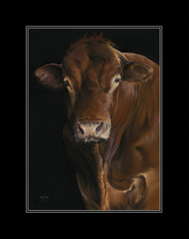 Medium mounted-only, Limousin Bull artwork by Kay Johns