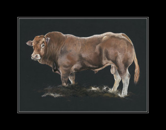 A Load of Bull Small Mounted - WAS 129.00