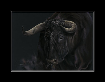 Spanish bull, Beauty in the Beast by Kay Johns