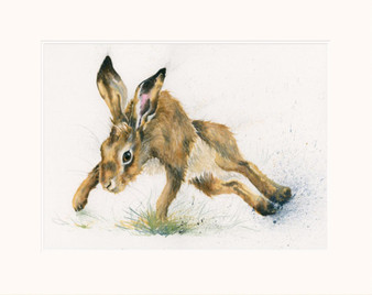 Twister by Kay Johns. Hare Painting. Dashing hare by Kay Johns
