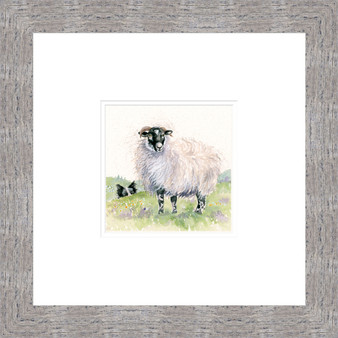 Little Flocker, Swaledale sheep and Border Collie painting by Kay Johns 