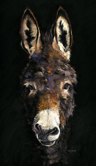 Donkey Artwork by Kay Johns