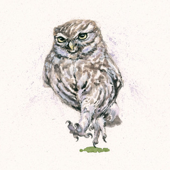 Original Little owl with attitude artwork by Kay Johns