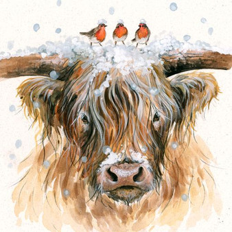 Highland cow artwork by Kay Johns