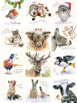 all 12 Christmas card designs for pack one