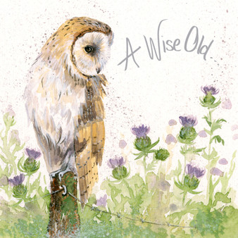 A Wise Old...- Owl card by Kay Johns - front view