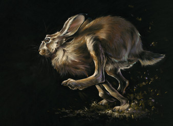 Original Running Hare artwork by Kay Johns
