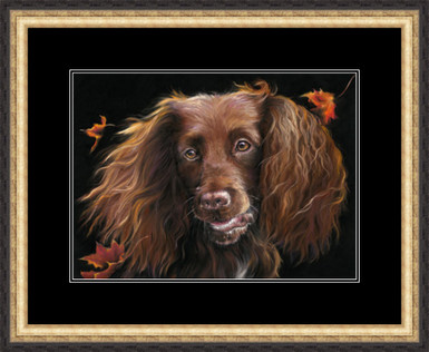 Chocolate Cocker, size - Medium framed