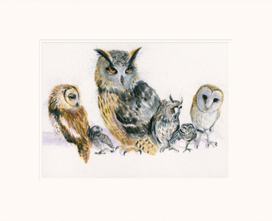 Owl artwork by Kay Johns. Mounted-only