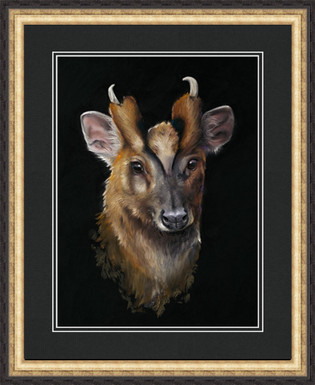 Muntjac Deer artwork by Kay Johns mounted and framed