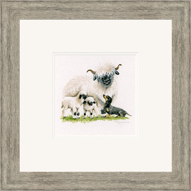 Raising the Baa, Calais sheep and sausage dog artwork by Kay Johns, grey framed 