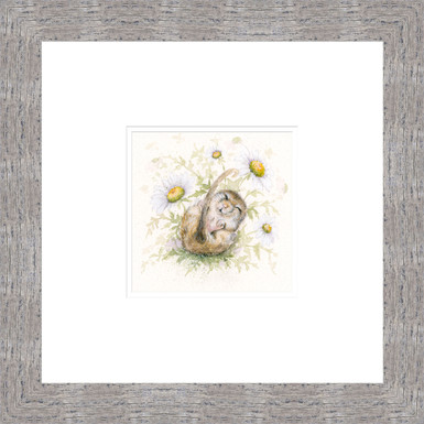 Daisy Grey framed - artwork by Kay Johns 