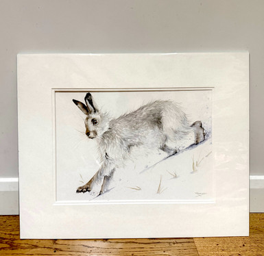 Another Grey Hare original painting by Kay Johns 