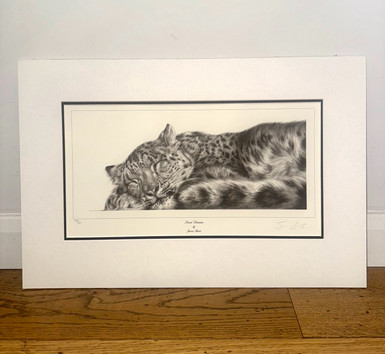 Sweet Dreams by Jamie Boots