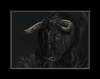 Spanish bull, Beauty in the Beast by Kay Johns