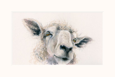 Lincoln Longwool. Miss Ewe by Kay Johns