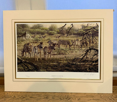  Striped to Confuse - Was £195.00 