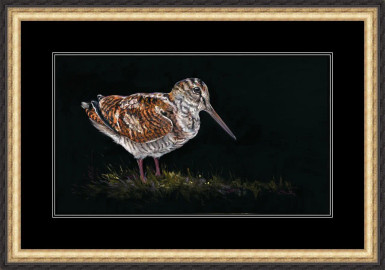 Fine art print of a woodcock bird on a dark background, shown in a luxury black and gold frame 