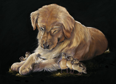 Good as Gold, Golden retriever with Ducklings, Golden retriever with Ducklings Original painting by Kay Johns