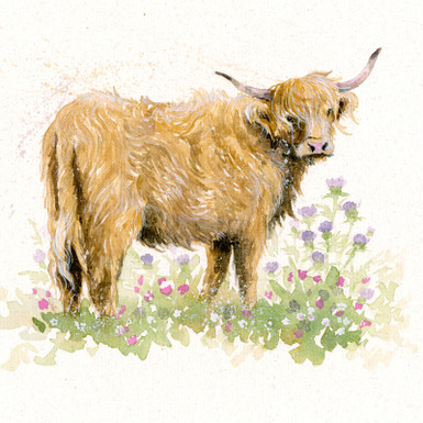 Highland cow original artwork by Kay Johns