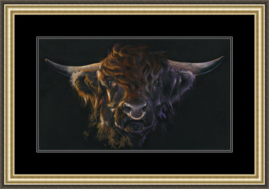 Black highland bull - framed 