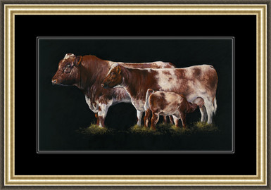 Shorthorn cattle family - Framed