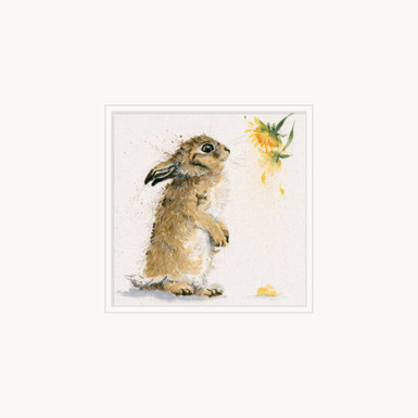 'Cotton Tail' artwork by Kay Johns, Mounted-Only
