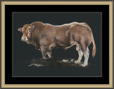 Extra large paper framed image