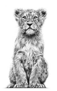 Artwork by Jamie Boots