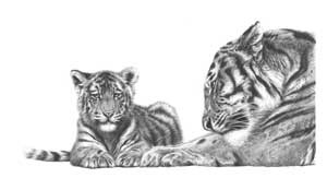 Artwork by Jamie Boots