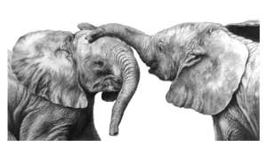 Artwork by Jamie Boots