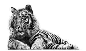 Artwork by Jamie Boots