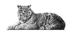 Artwork by Jamie Boots