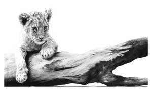 Artwork by Jamie Boots