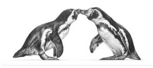 Artwork by Jamie Boots