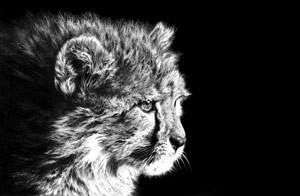 Artwork by Jamie Boots