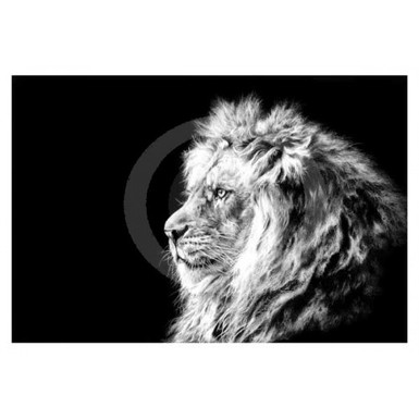 Artwork by Jamie Boots