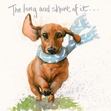 The long and short of it- Sausage dog card by Kay Johns - front view