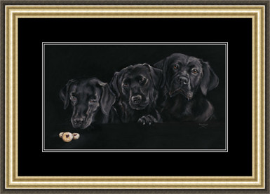 medium framed black labs
