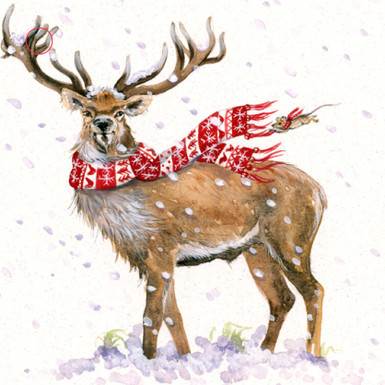 Tag Image - North Winds