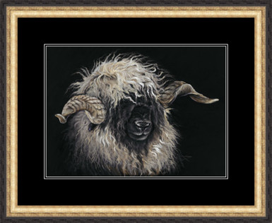 Blacknose Swiss Valais sheep 