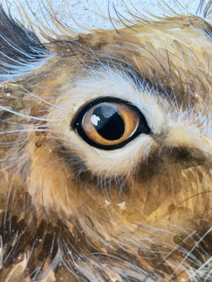 Eye Eye... 'ears the start of something special...