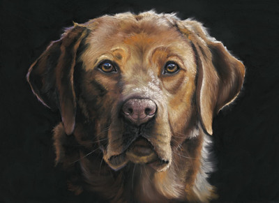 New Collection for 2025