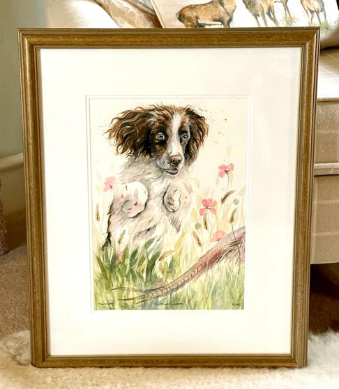 Spring loaded - size small framed, SALE ITEM 50% OFF - WAS £195.00